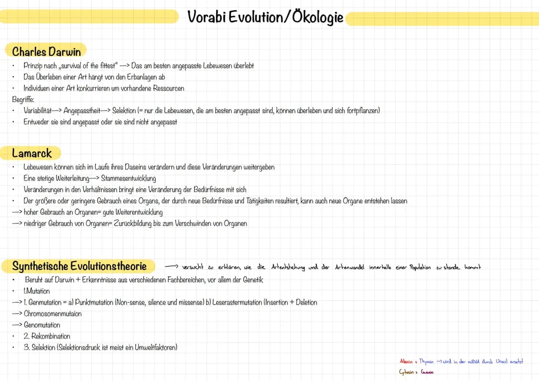 Abitur Evolution
