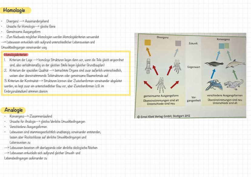 Charles Darwin
Prinzip nach ,survival of the fittest" -> Das am besten angepasste Lebewesen überlebt
Das Überleben einer Art hängt von den E