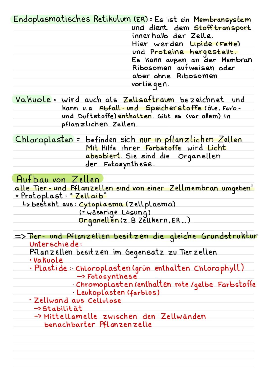 Cycologic
Kennzeichen des Lebendigen
Stoffwechsel
Bewegung
Wachstum / Entwicklung
Fortpflanzung / Vermehrung
Reiz'barkeit
(= Reaktion auf Ei