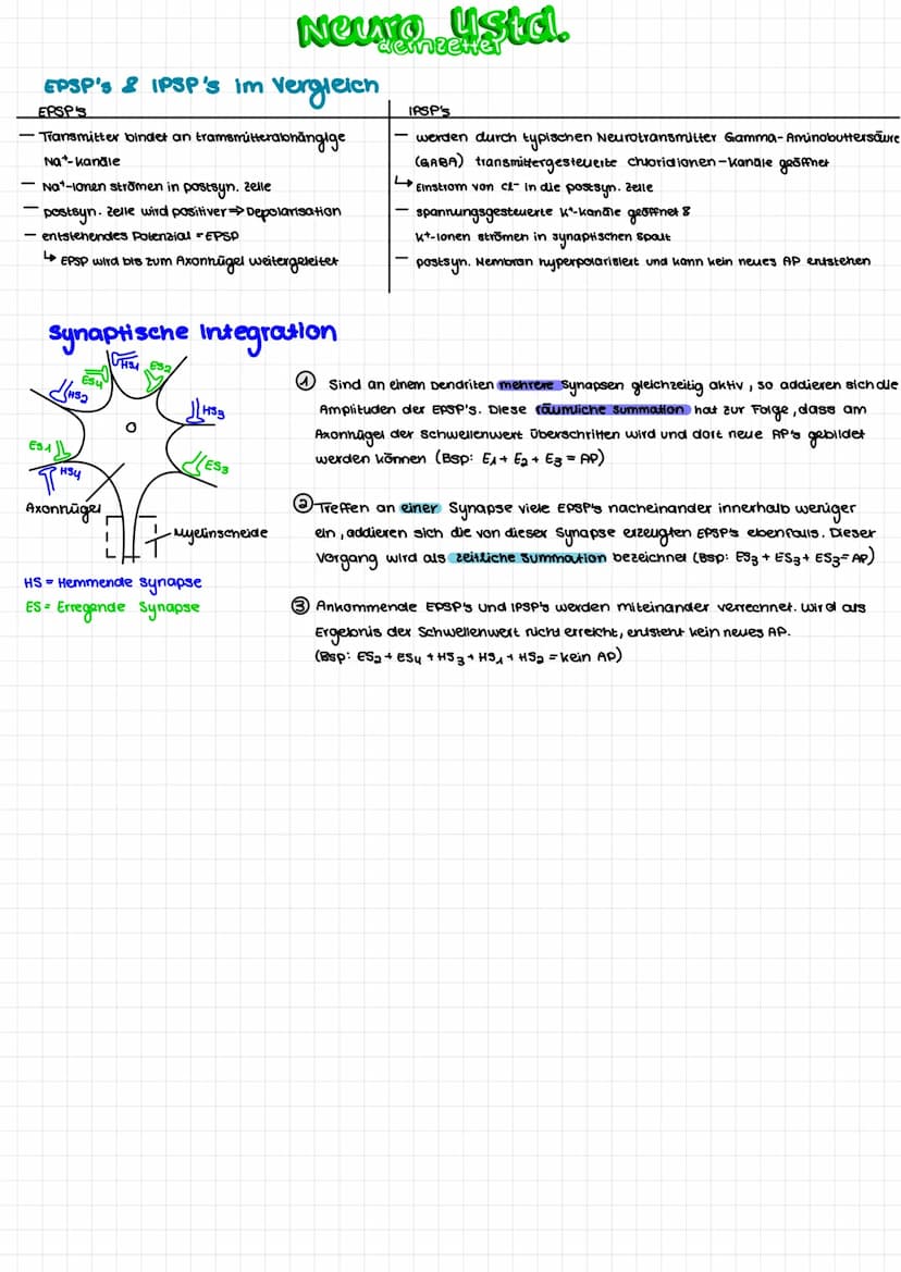 Aufbau Nervenzelle
Soma
➜zellkörper
Bildung von Substanzen
(E.B.)Proteine
Calium-Ionen-
kana
Dendriten
Nehmen Signale auf
und leiten Sie zum