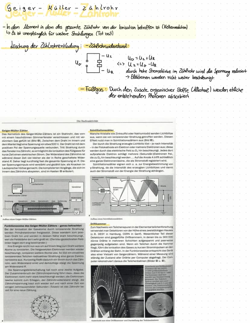 Kernphysik
Atomkern: - Fast die gesamte Masse eines Aloms ist im Atomkern Konzentriert
• beinhaltet die gesamte positive Ladung des Homs
- n