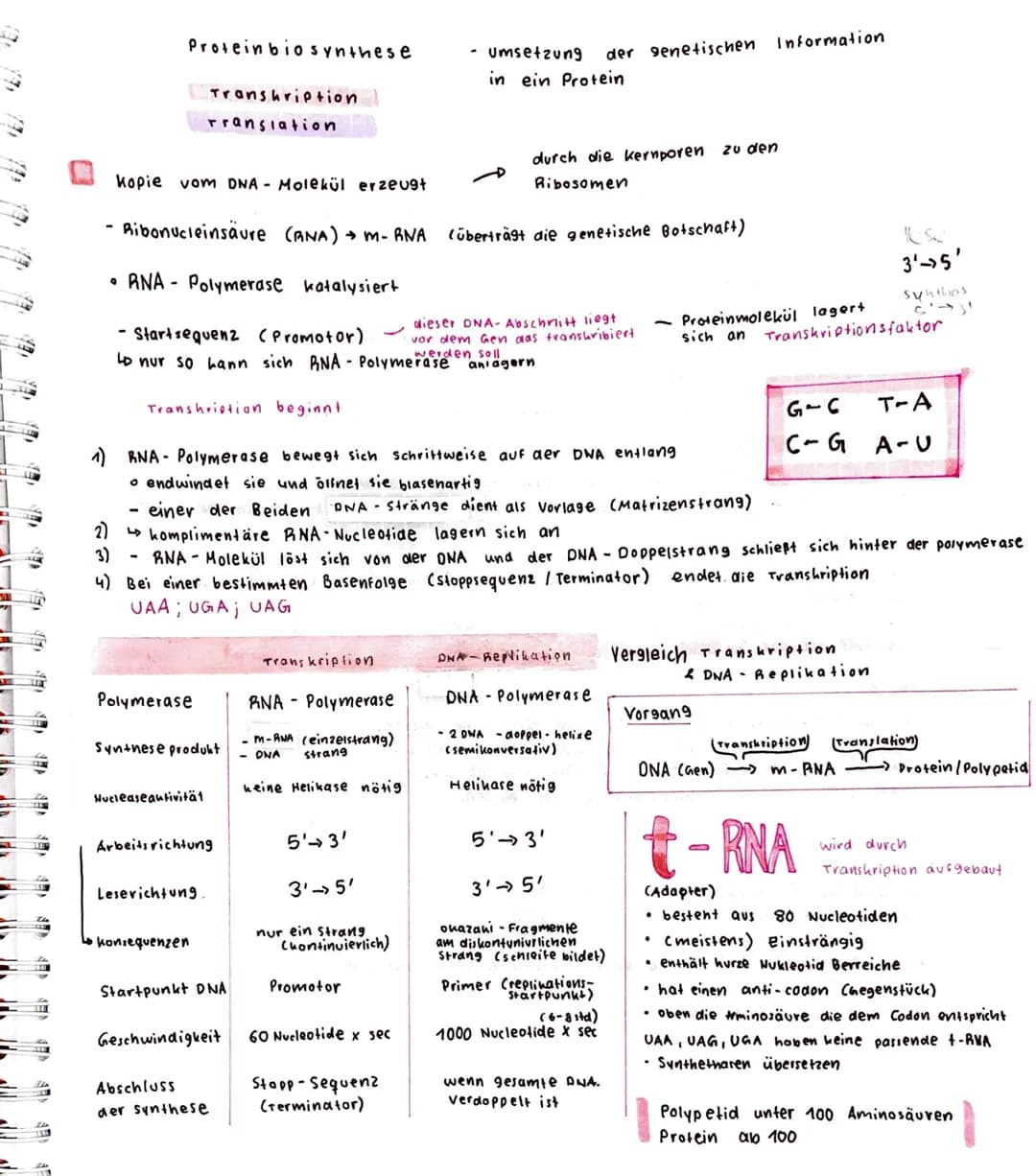 VE
EX
YE
VED
NEA
lla
3
ONA REPLIKATION
0
-
Helikase
Primase
erzeugt kurzen
komplimentären
ANA-Strang wird
später
entfernt
5'
Primer
DNA-
5%
