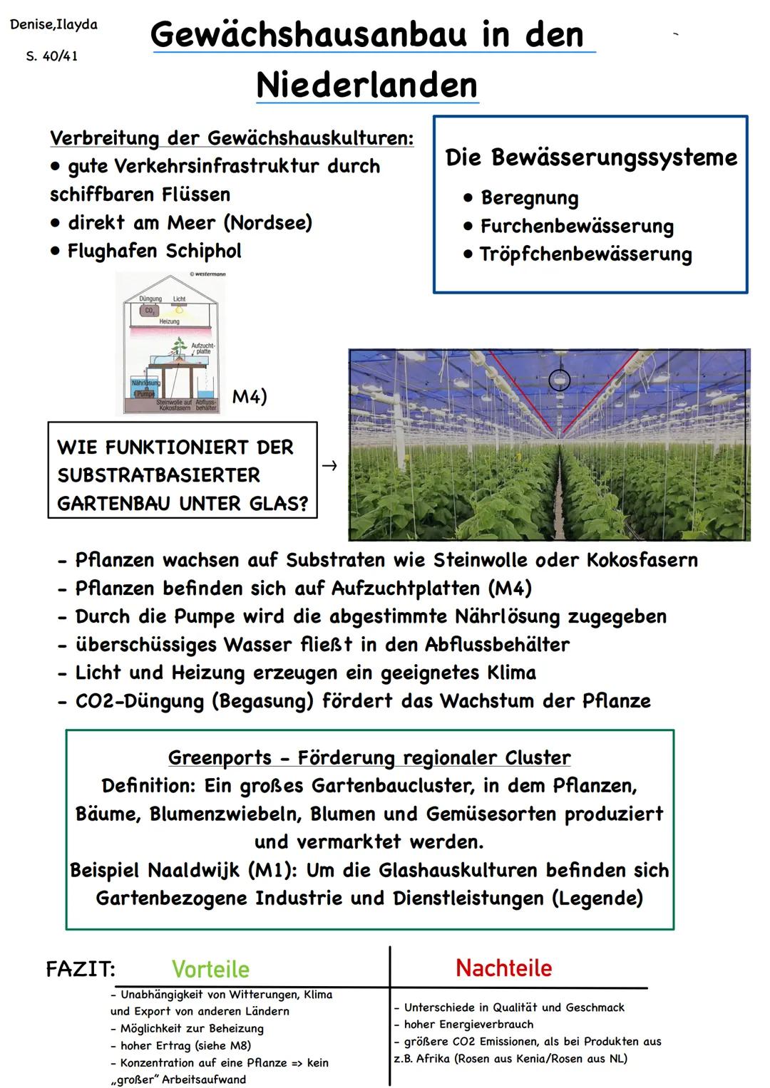 Denise, Ilayda
S. 40/41
Verbreitung der Gewächshauskulturen:
• gute Verkehrsinfrastruktur durch
schiffbaren Flüssen
• direkt am Meer (Nordse
