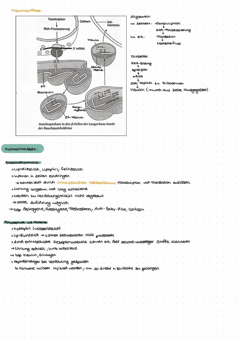 Hormone
aman  Hormone allgemein
> Hormone sind chemische Signalstoffe, die als Botenstoffe wirksam sind
> oft in Drüsenzellen gebildet und f