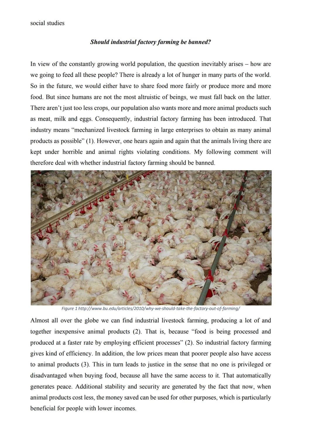 social studies
Should industrial factory farming be banned?
In view of the constantly growing world population, the question inevitably aris