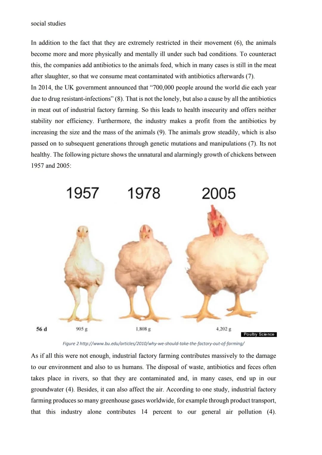 social studies
Should industrial factory farming be banned?
In view of the constantly growing world population, the question inevitably aris