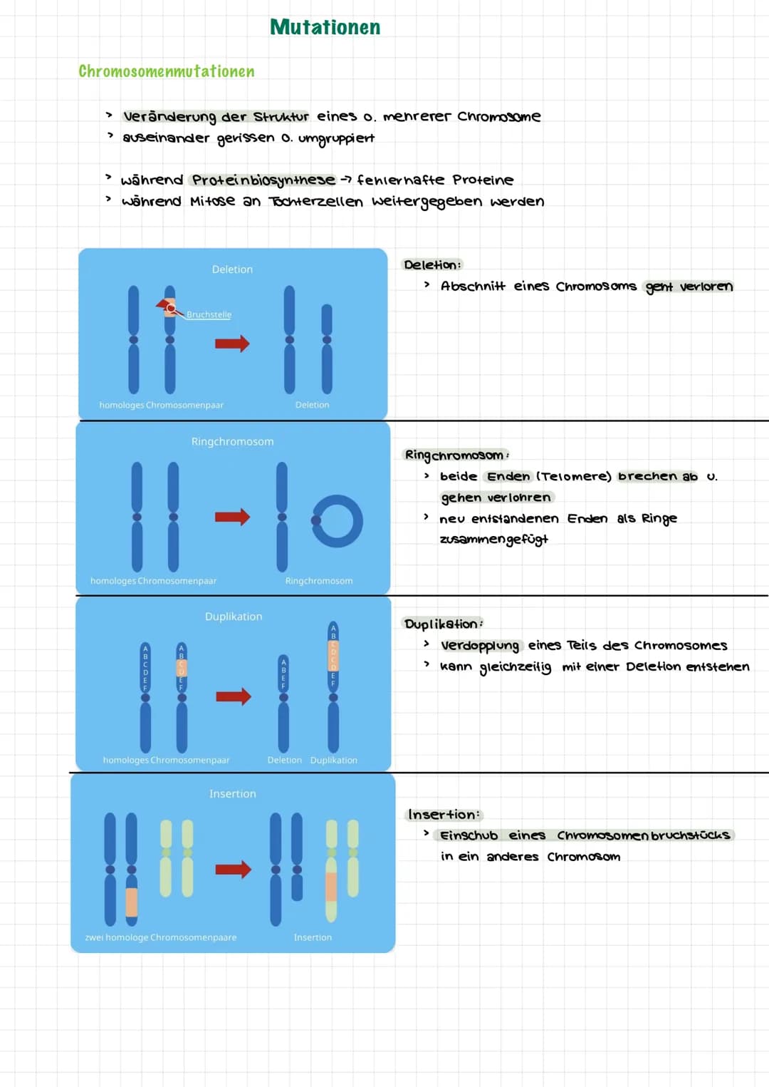  Themen:
0000
Genommutation
Genmutationen
Punktmutation
O
O
Chromosommutation
Mutationen Sichelzellanámie
Mutationen → Thalassamie
lac-opero