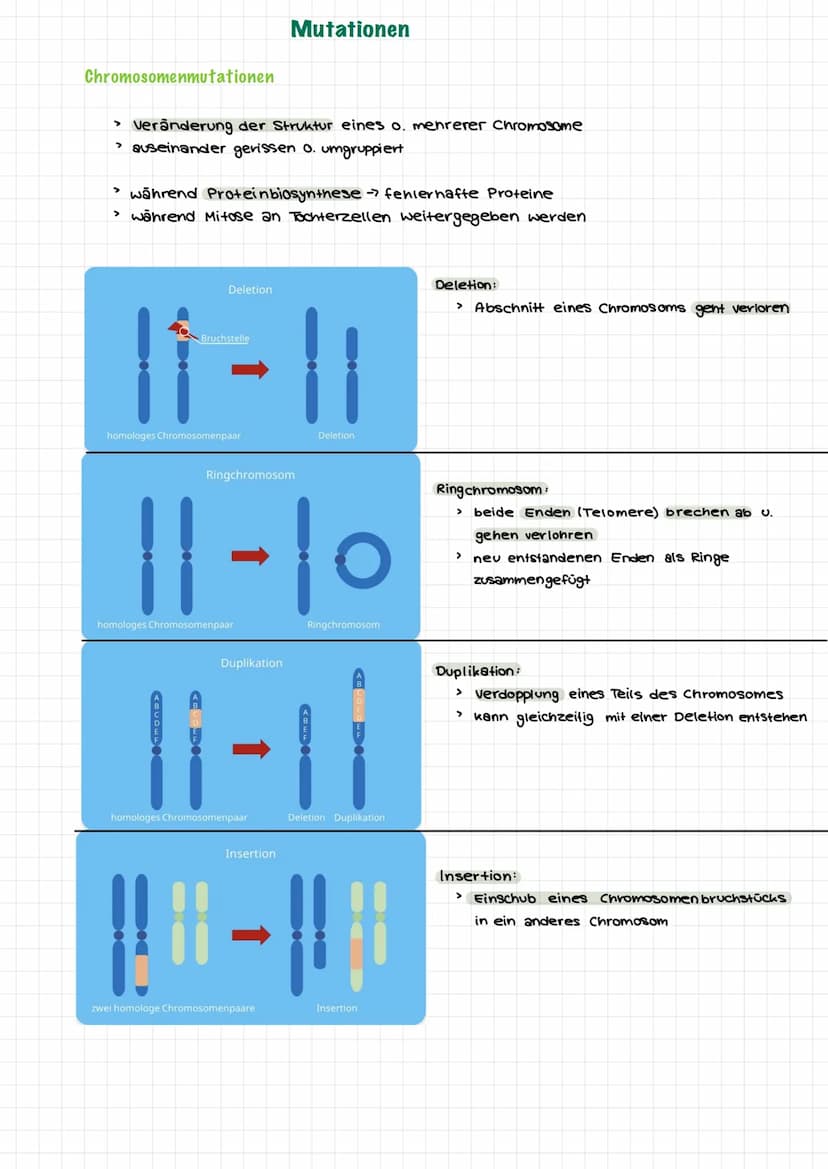  Themen:
0000
Genommutation
Genmutationen
Punktmutation
O
O
Chromosommutation
Mutationen Sichelzellanámie
Mutationen → Thalassamie
lac-opero
