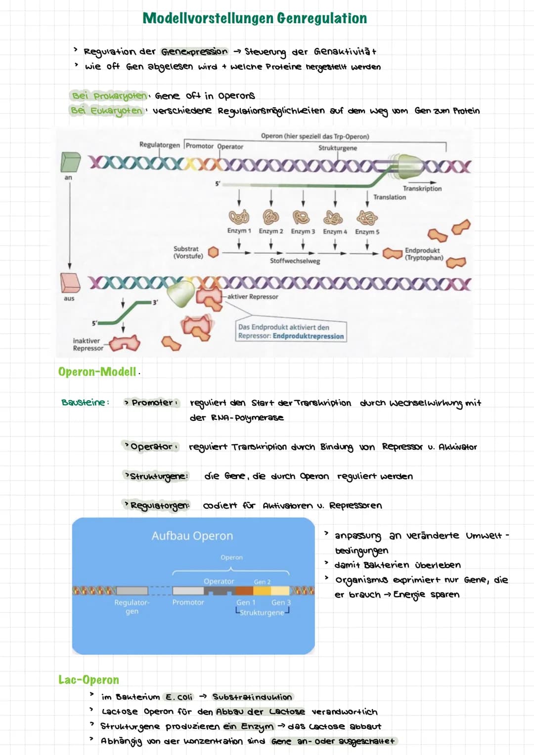  Themen:
0000
Genommutation
Genmutationen
Punktmutation
O
O
Chromosommutation
Mutationen Sichelzellanámie
Mutationen → Thalassamie
lac-opero