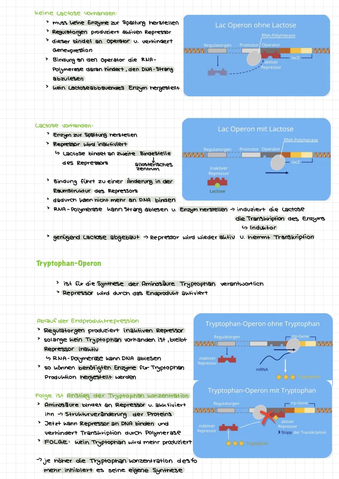  Themen:
0000
Genommutation
Genmutationen
Punktmutation
O
O
Chromosommutation
Mutationen Sichelzellanámie
Mutationen → Thalassamie
lac-opero