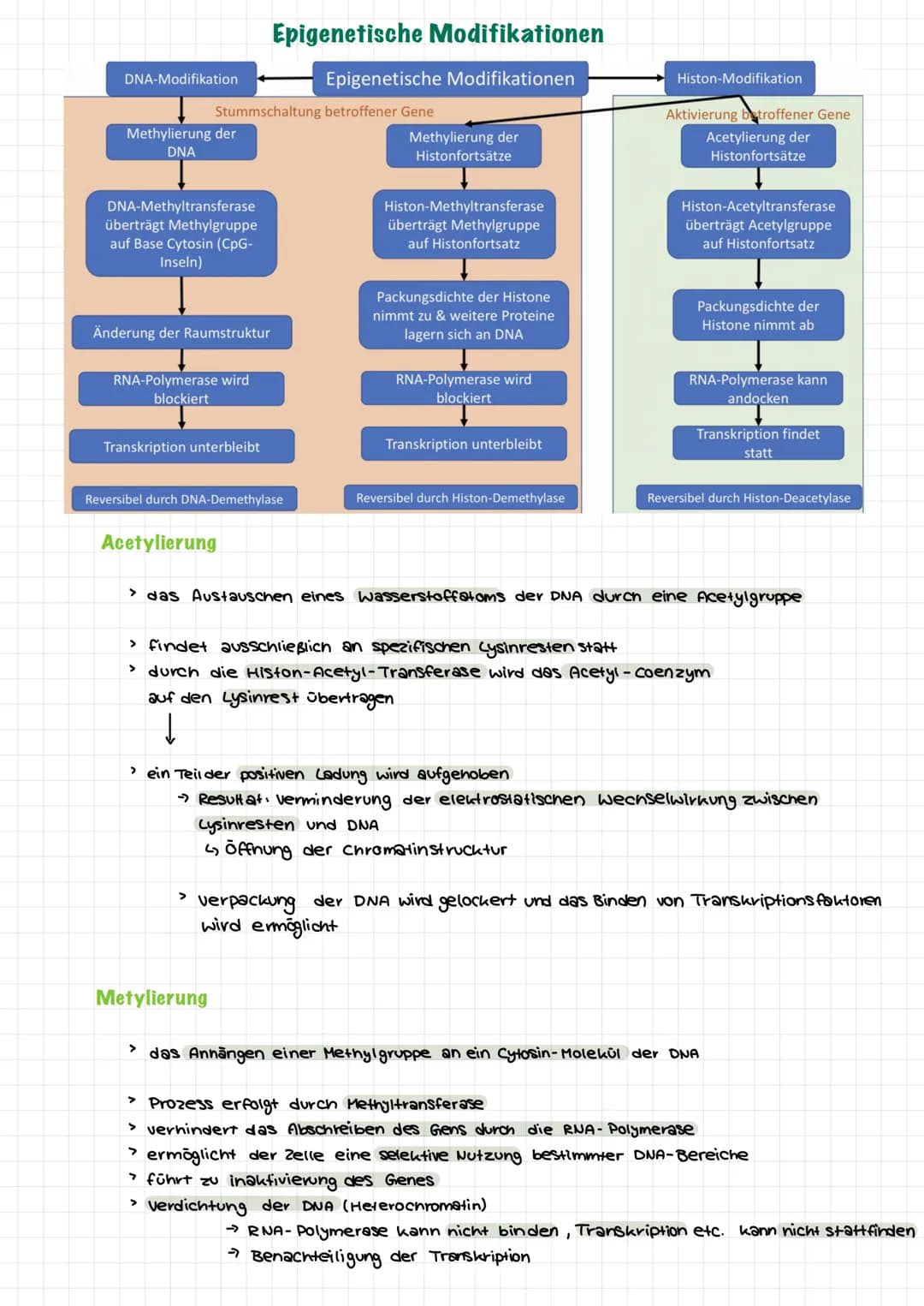  Themen:
0000
Genommutation
Genmutationen
Punktmutation
O
O
Chromosommutation
Mutationen Sichelzellanámie
Mutationen → Thalassamie
lac-opero