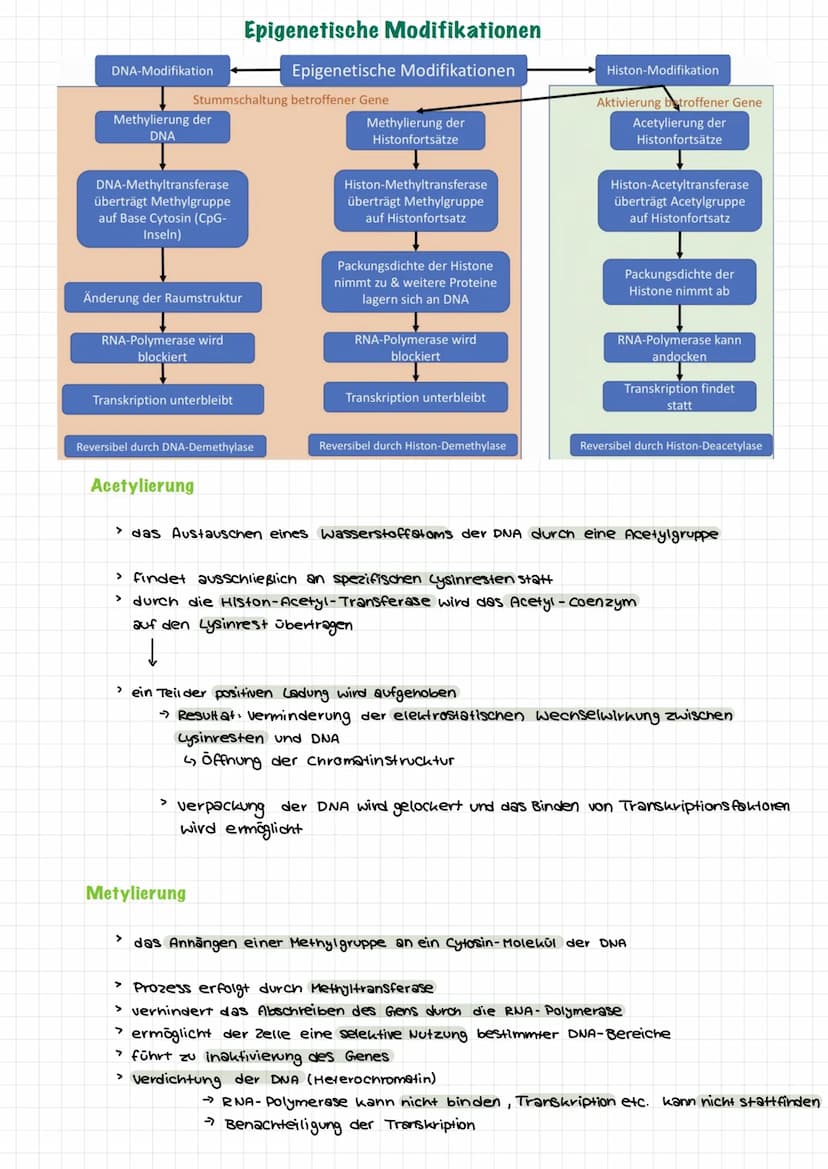  Themen:
0000
Genommutation
Genmutationen
Punktmutation
O
O
Chromosommutation
Mutationen Sichelzellanámie
Mutationen → Thalassamie
lac-opero