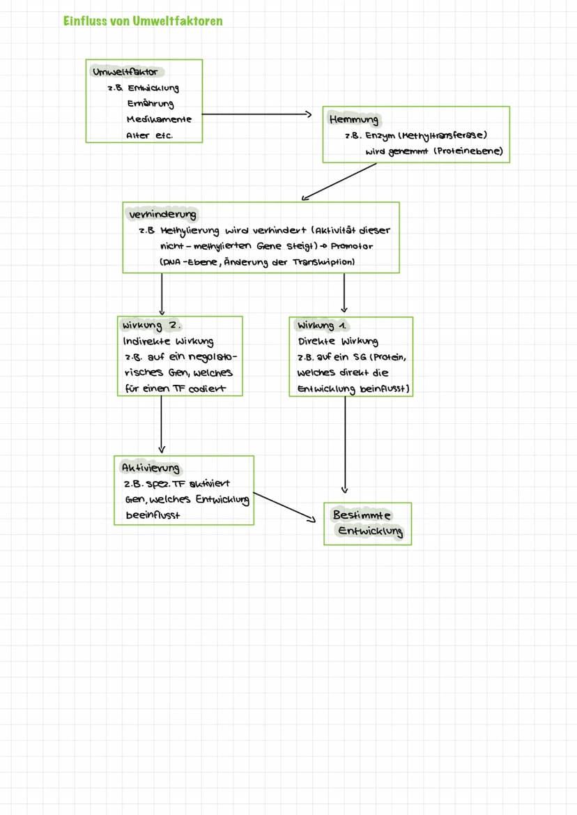  Themen:
0000
Genommutation
Genmutationen
Punktmutation
O
O
Chromosommutation
Mutationen Sichelzellanámie
Mutationen → Thalassamie
lac-opero