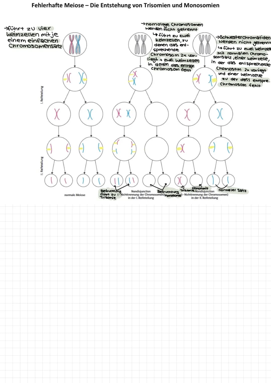  Themen:
0000
Genommutation
Genmutationen
Punktmutation
O
O
Chromosommutation
Mutationen Sichelzellanámie
Mutationen → Thalassamie
lac-opero
