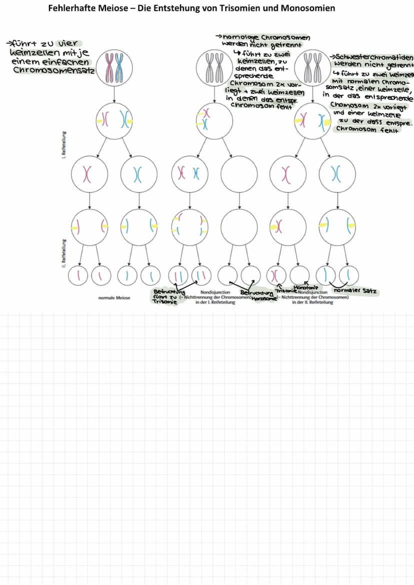 Themen:
0000
Genommutation
Genmutationen
Punktmutation
O
O
Chromosommutation
Mutationen Sichelzellanámie
Mutationen → Thalassamie
lac-opero