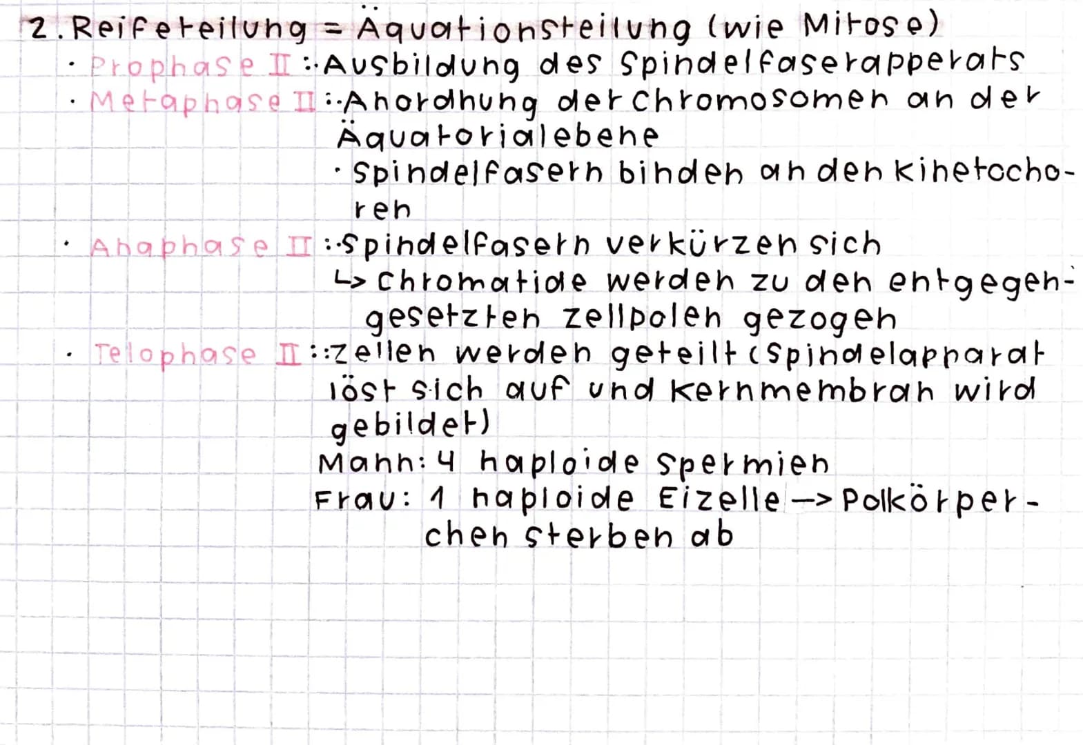 Meiose
Produktion von keimzellen und Geschlechtszellen
· Unterscheidung zwischen Oogenese (Eizelle) und
(Spermien).
Spermatogenese
Zellteilu