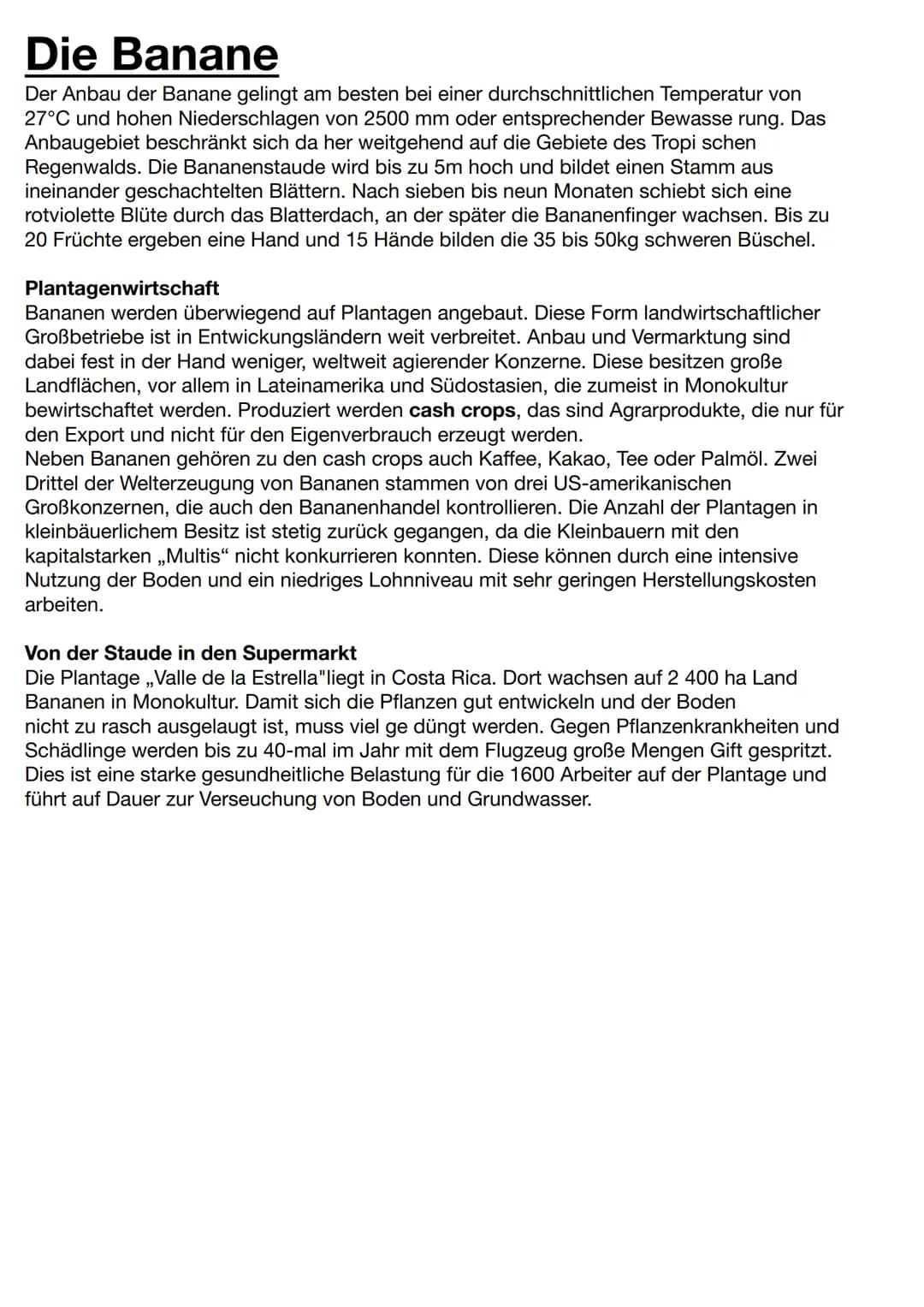 Die Banane
Der Anbau der Banane gelingt am besten bei einer durchschnittlichen Temperatur von
27°C und hohen Niederschlagen von 2500 mm oder