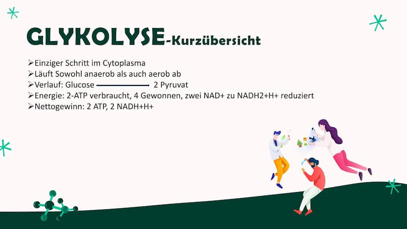 ZELLATMUNG
Annica Klinke
0⁰ Inhalt
*Allgemein
Glykolyse-Kurzübersicht
Glykolyse-Ablauf
Glykolyse-Ende
*Citratzyklus-Pyruvatoxidation
Citratz