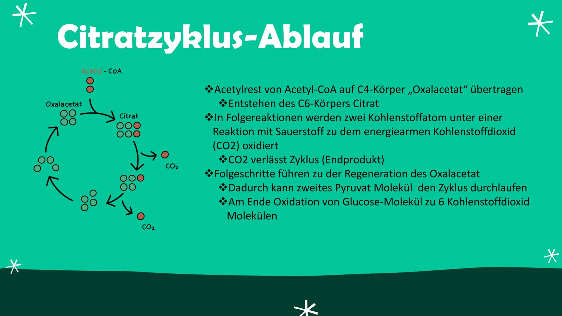 ZELLATMUNG
Annica Klinke
0⁰ Inhalt
*Allgemein
Glykolyse-Kurzübersicht
Glykolyse-Ablauf
Glykolyse-Ende
*Citratzyklus-Pyruvatoxidation
Citratz