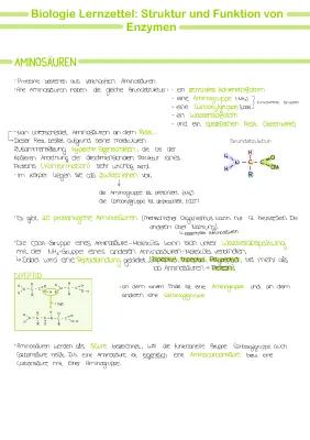 Know Enzyme thumbnail