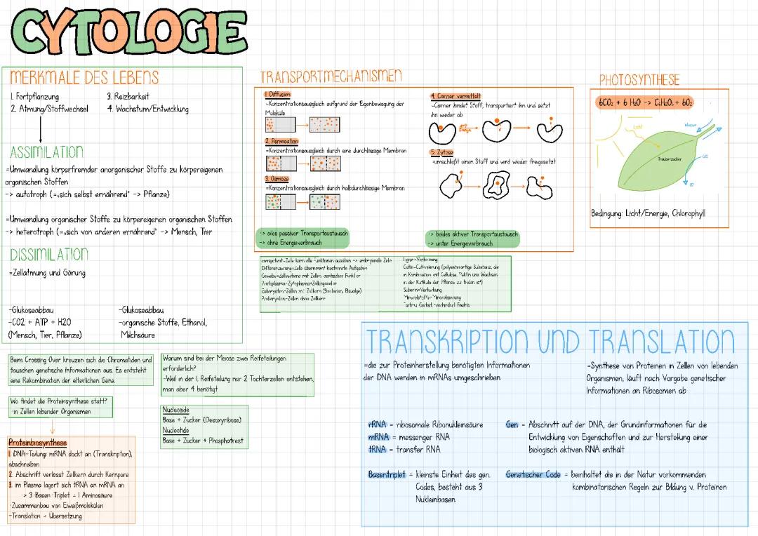 Cytologie