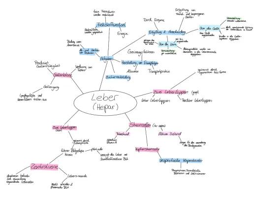 Know Mindmap - Leber  thumbnail