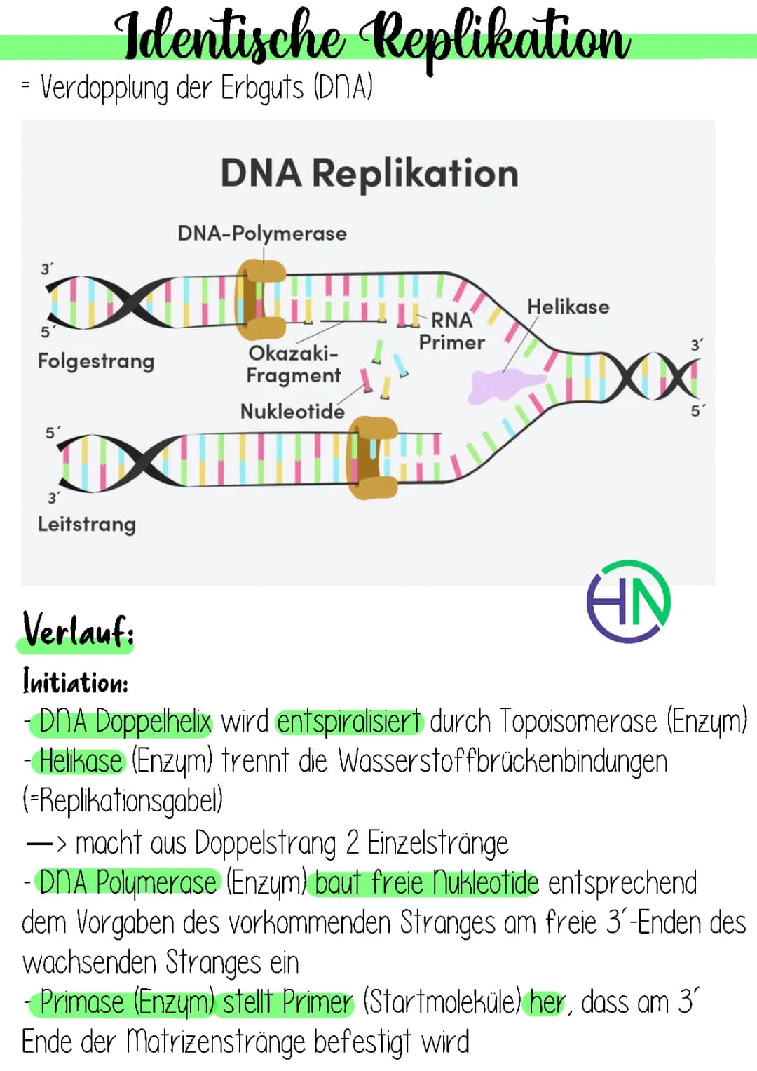 Identische Replikation