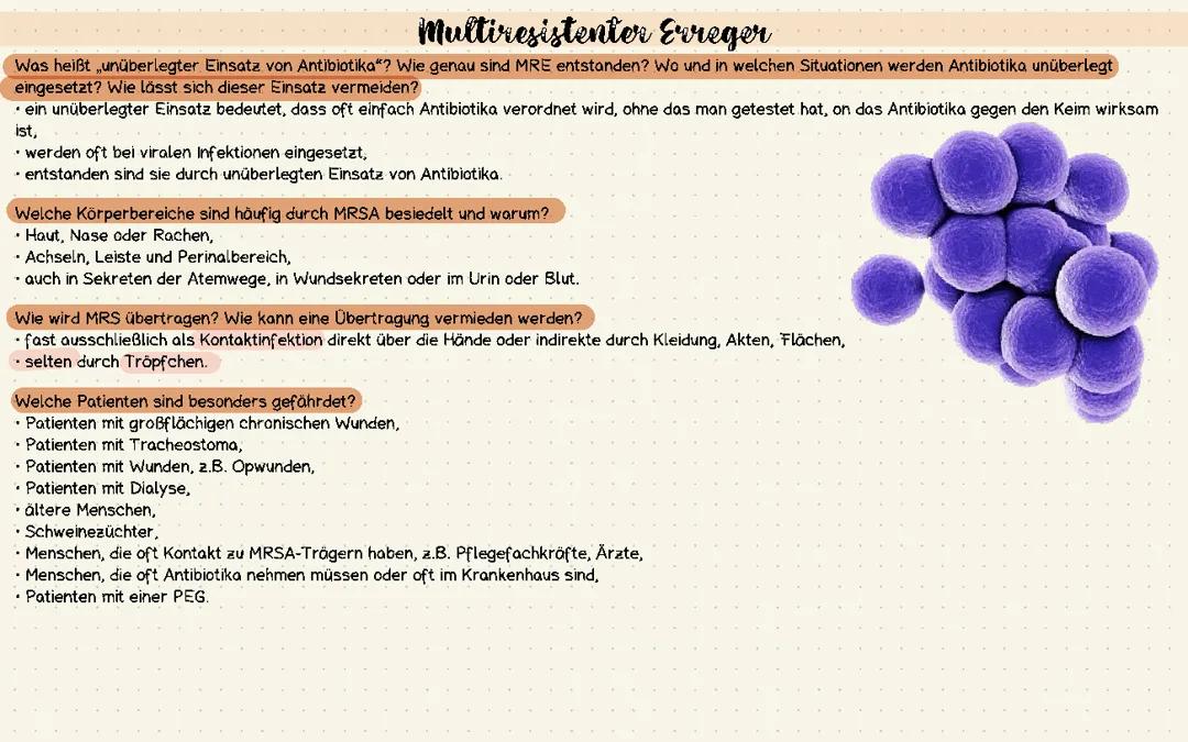 Multiresistente Erreger (MRSA)
