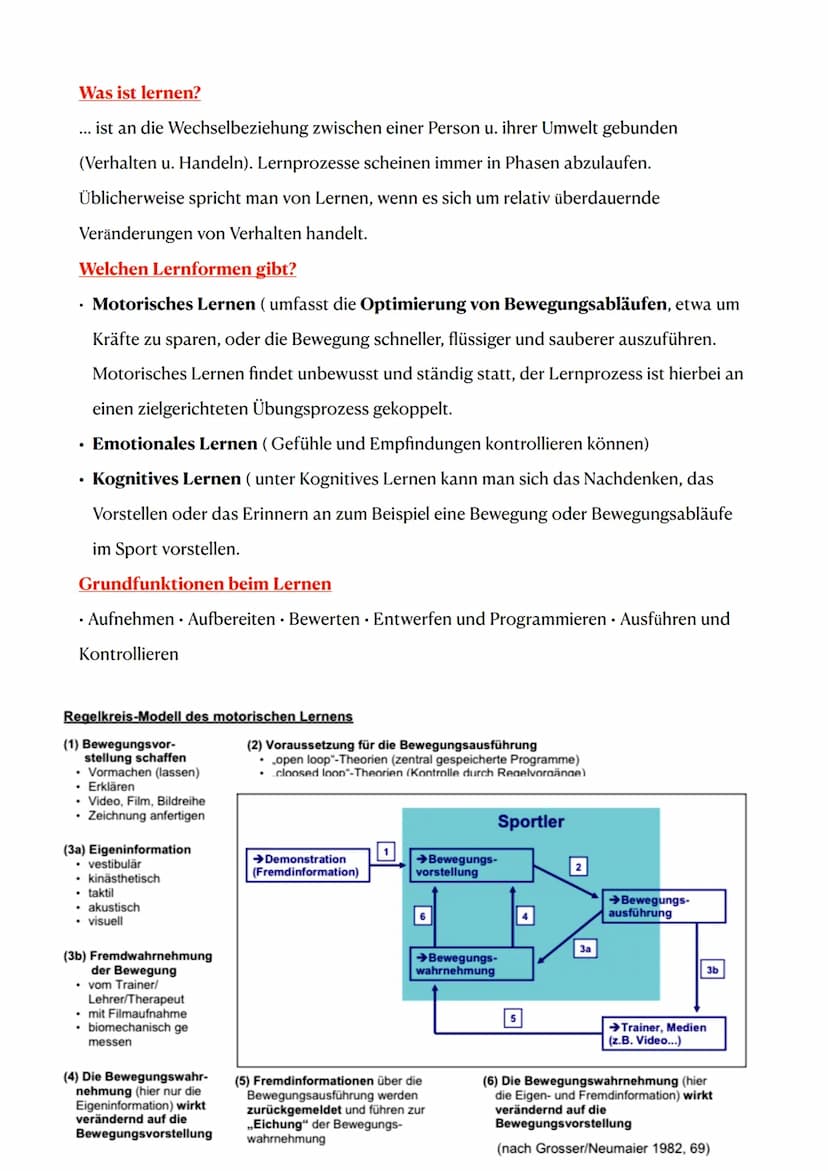 Sport Klausur: Bewegungsstruktur und Bewegungslernen
Funktionsanalyse nach Göhner
Göhner hat das Phasenmodell von Meinel weiterentwickelt un