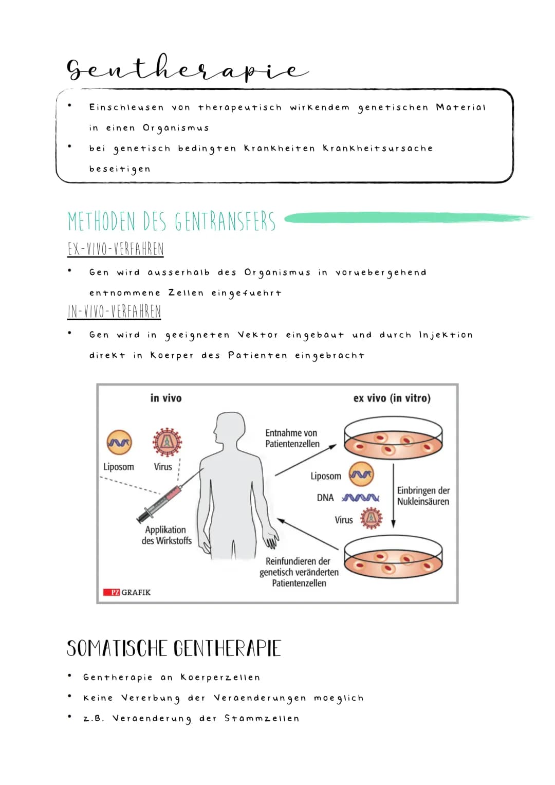 Gentherapie
Einschleusen von therapeutisch wirkendem genetischen Material
in einen Organismus
bei genetisch bedingten Krankheiten Krankheits