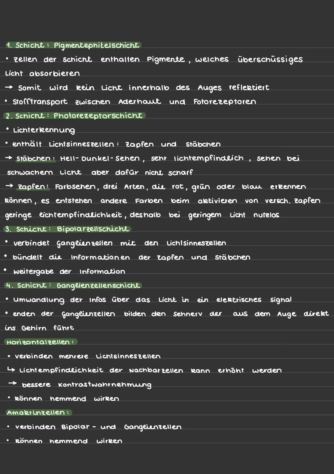 Sinneswahrnehmung (Auge):
Aufbau des Auges:
Augenmuskel
Lederhaut
Aderhaut
Zillarmuskel
Linse
Pupille
Regenbogenhaut
Bindehaut
Hornhaut
Glas