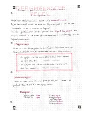 Know Bergmannsche Regel thumbnail