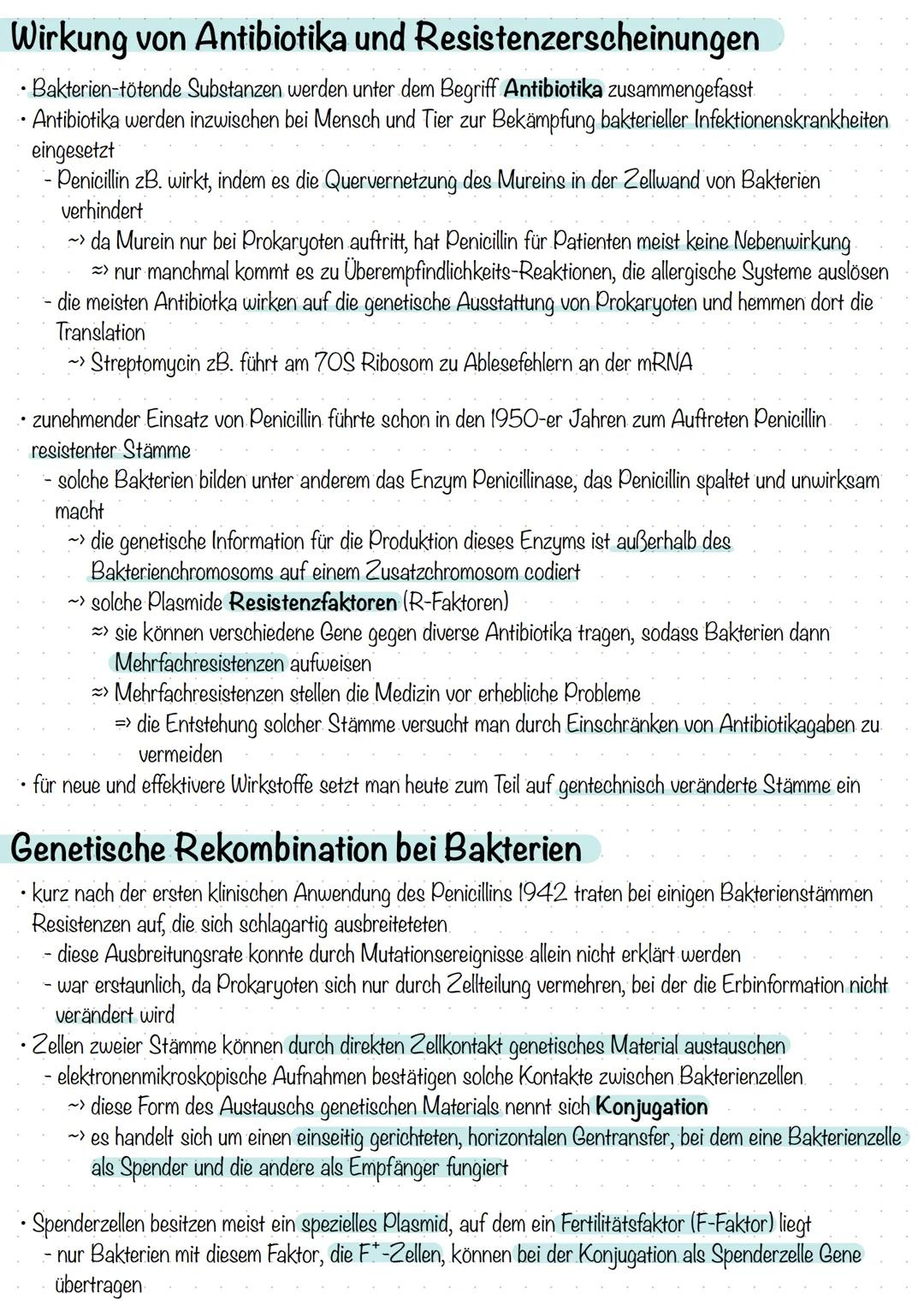 Bakterien & Viren
Bakterien-Stellung im System der Lebewesen
alle Lebewesen werden systematisch in drei Domänen eingeteilt:
- Bakterien
Arch