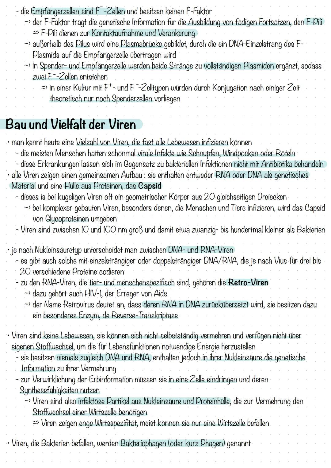 Bakterien & Viren
Bakterien-Stellung im System der Lebewesen
alle Lebewesen werden systematisch in drei Domänen eingeteilt:
- Bakterien
Arch