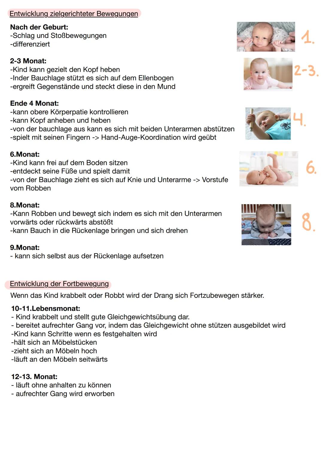 Entwicklung des Kindes 