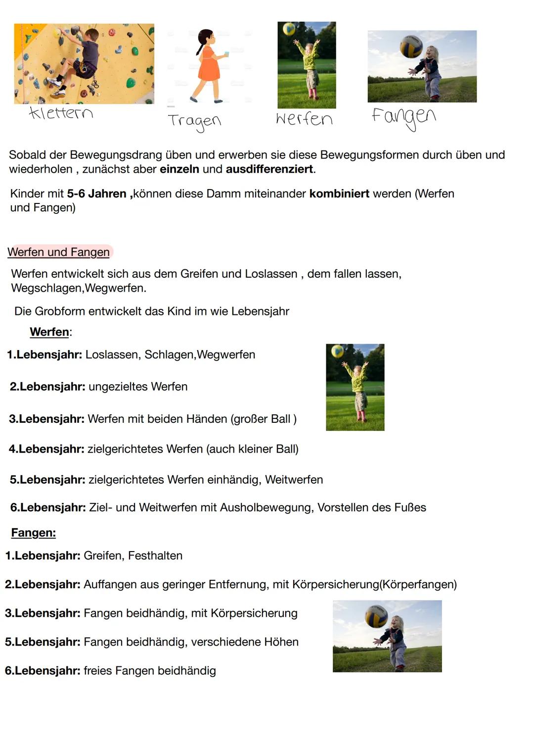 Entwicklung zielgerichteter Bewegungen

Nach der Geburt:
-Schlag und Stoßbewegungen
-differenziert

2-3 Monat:
-Kind kann gezielt den Kopf h