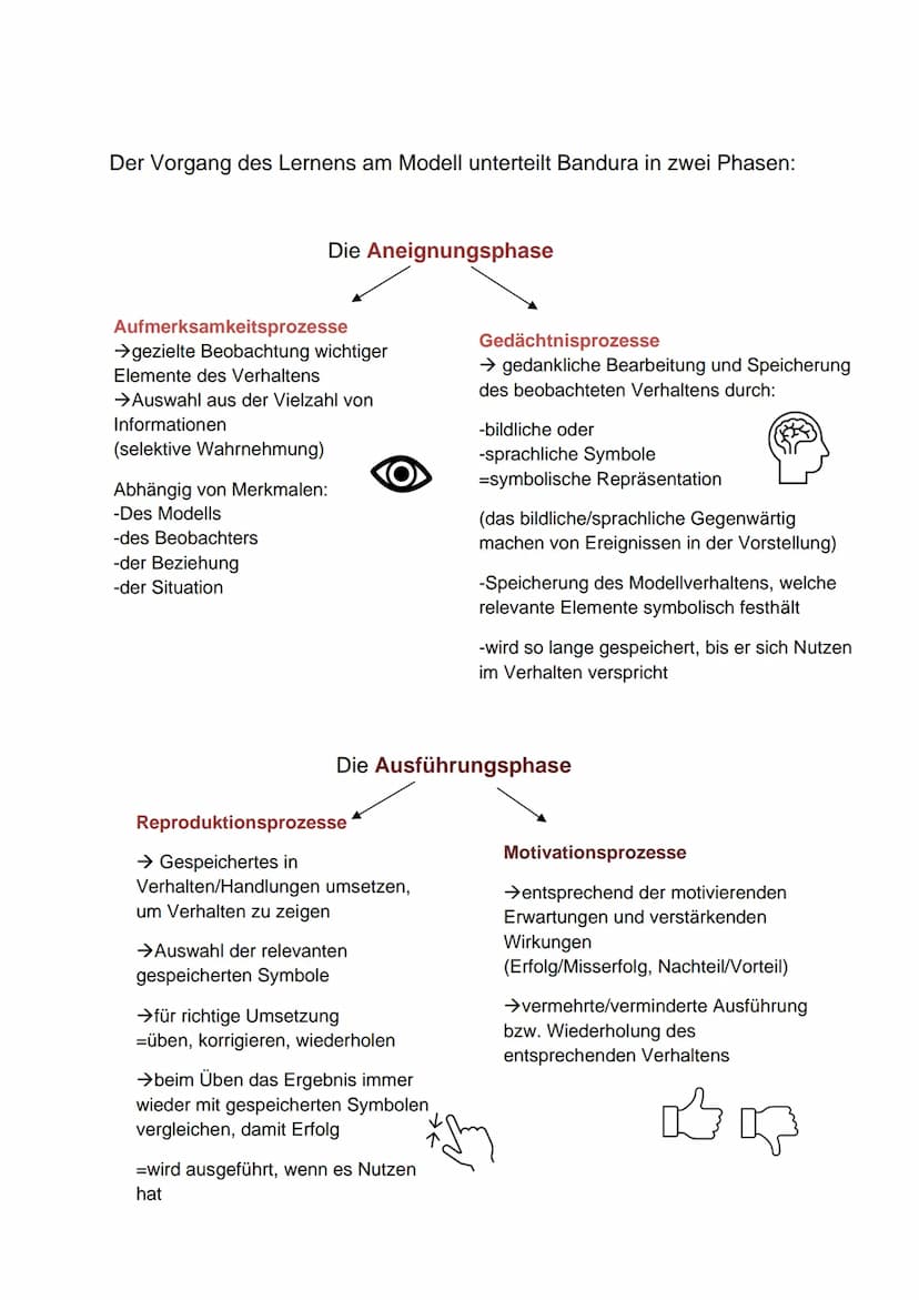 Sozial-kognitive Lerntheorie
nach Bandura
Menschen erlernen eine Vielzahl von Erlebens- und Verhaltensweisen durch Beobachtung
von Personen,