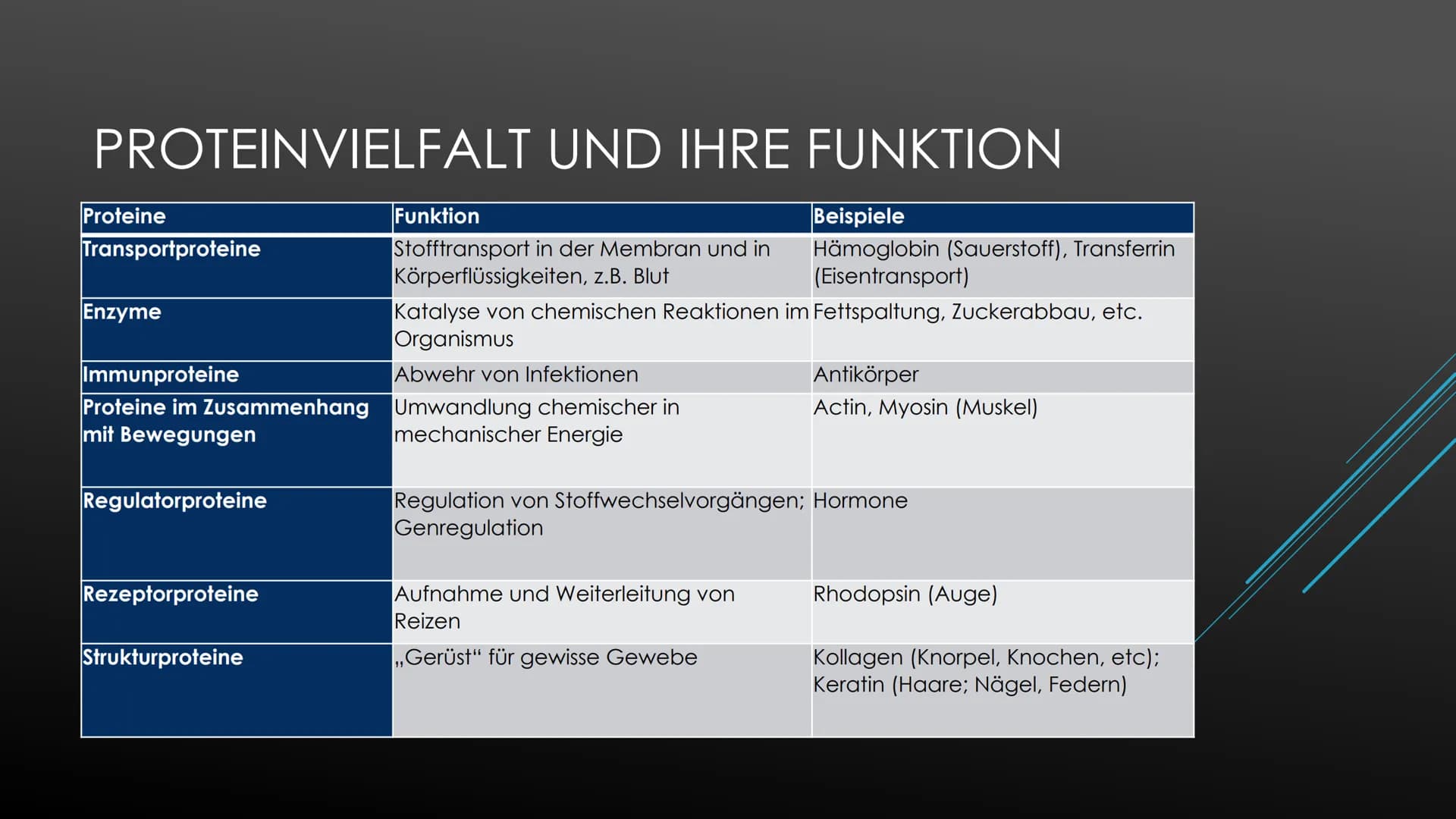 PROTEINE
Biologie Oberstufe Proteinvielfalt und ihre Funktion:
Proteine übernehmen unterschiedlichste Funktionen, dementsprechend groß ist d