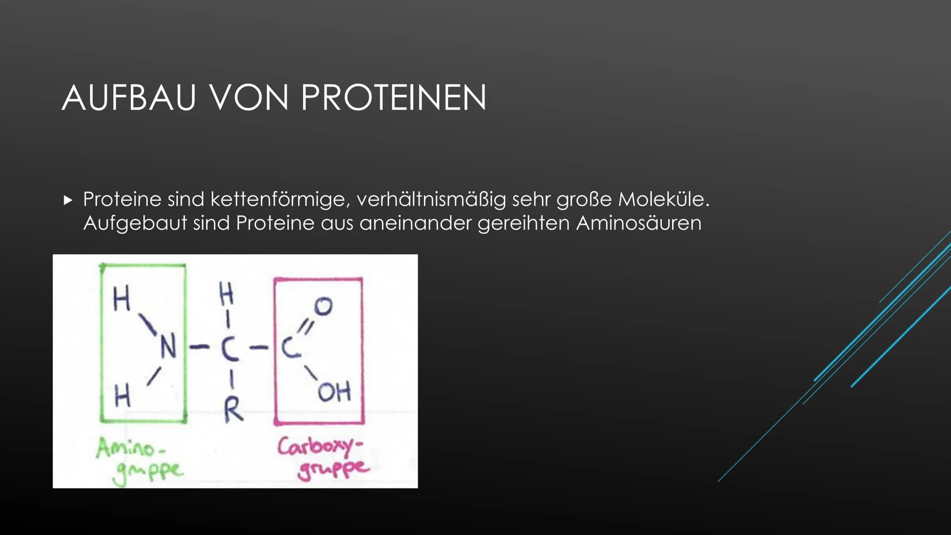 PROTEINE
Biologie Oberstufe Proteinvielfalt und ihre Funktion:
Proteine übernehmen unterschiedlichste Funktionen, dementsprechend groß ist d