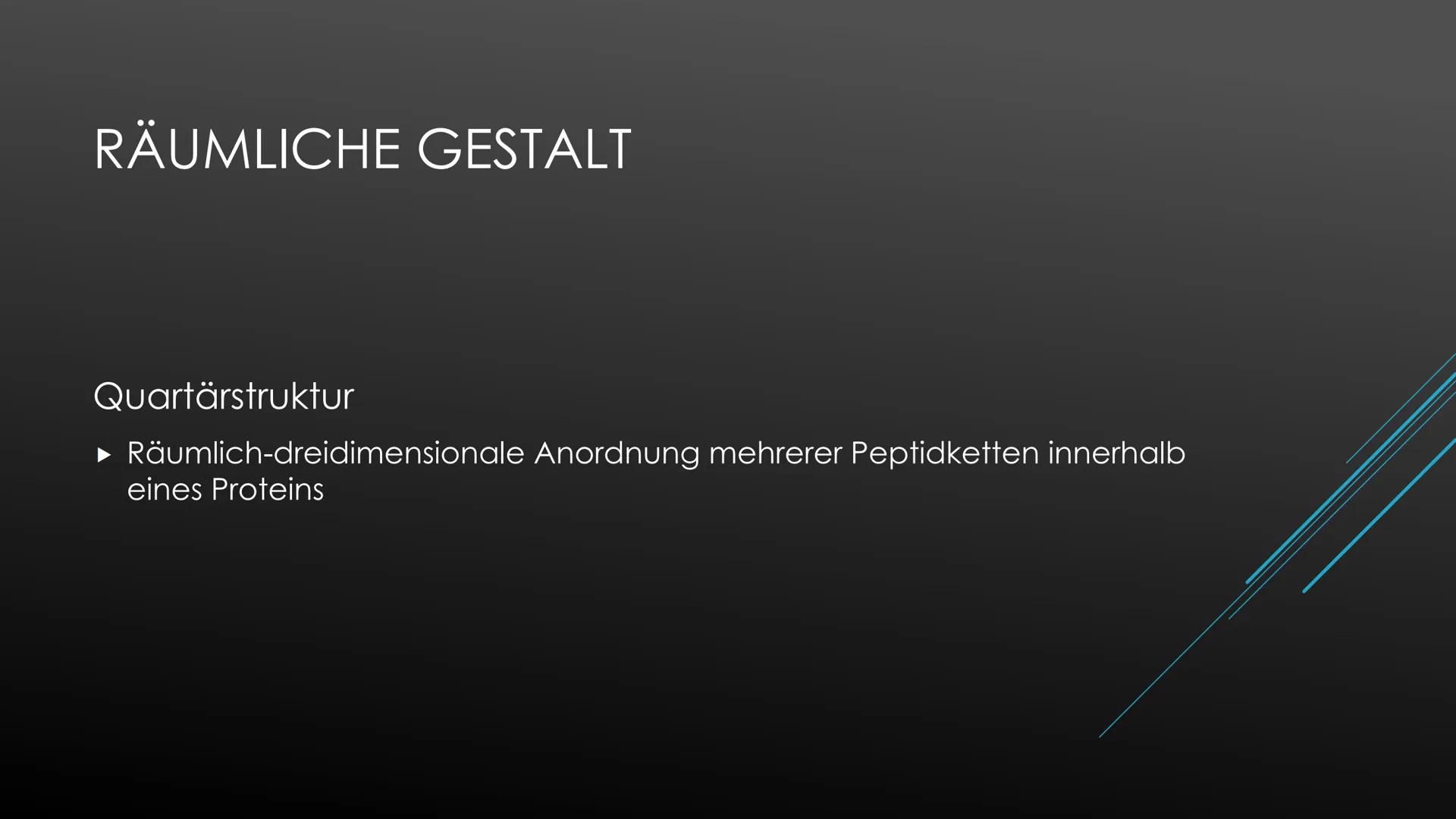 PROTEINE
Biologie Oberstufe Proteinvielfalt und ihre Funktion:
Proteine übernehmen unterschiedlichste Funktionen, dementsprechend groß ist d