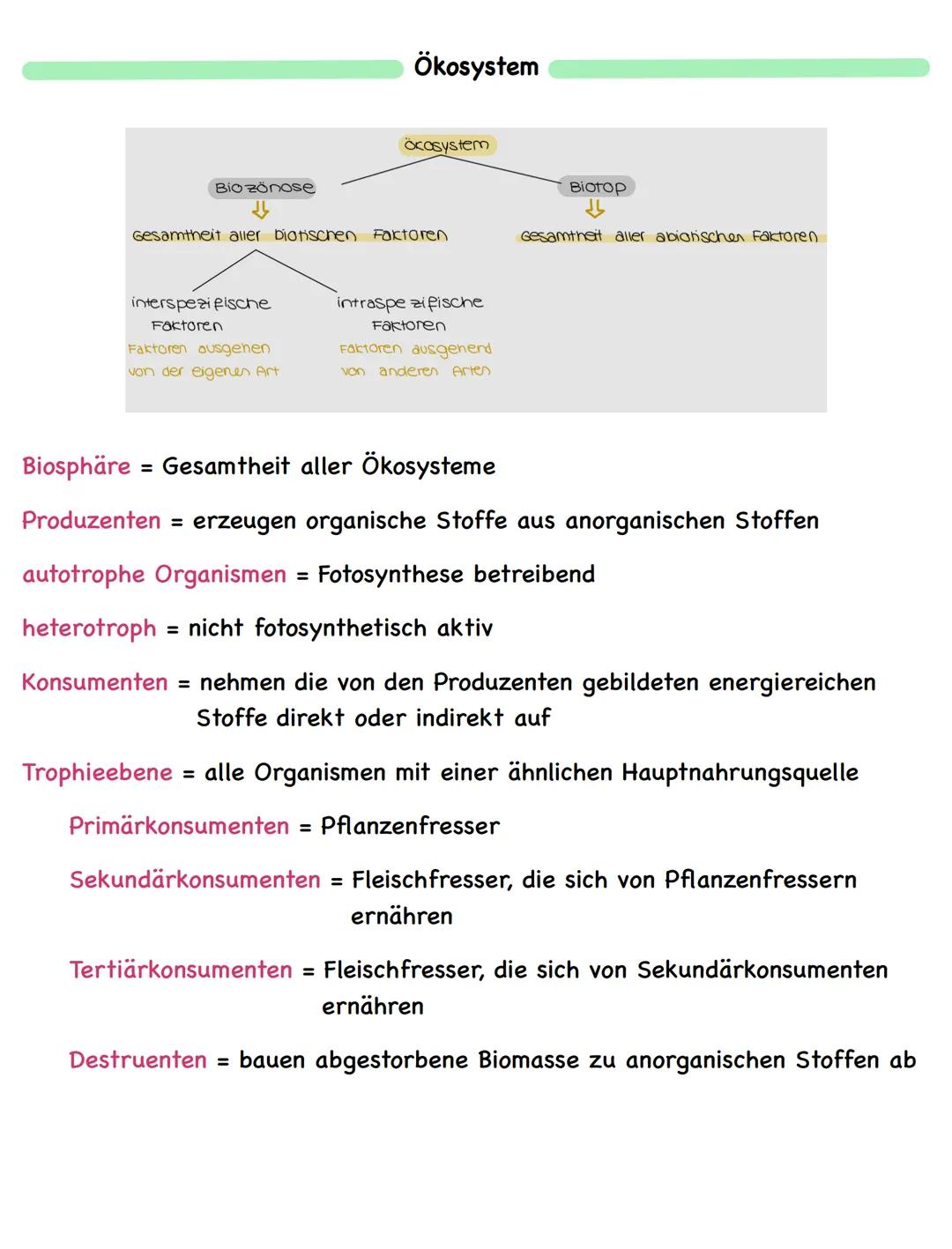 Zusammenfassung
Ökologie
Abiotische und biotische Faktoren
Biotische Faktoren
• gehen von Lebewesen aus
• Konkurrenten
• Parasiten
• Mensch
