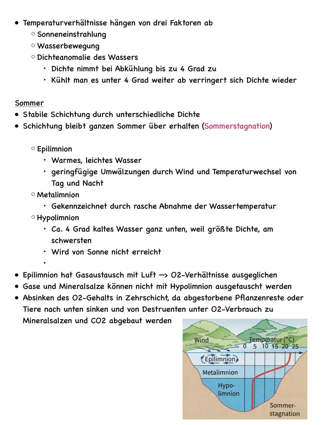 Zusammenfassung
Ökologie
Abiotische und biotische Faktoren
Biotische Faktoren
• gehen von Lebewesen aus
• Konkurrenten
• Parasiten
• Mensch
