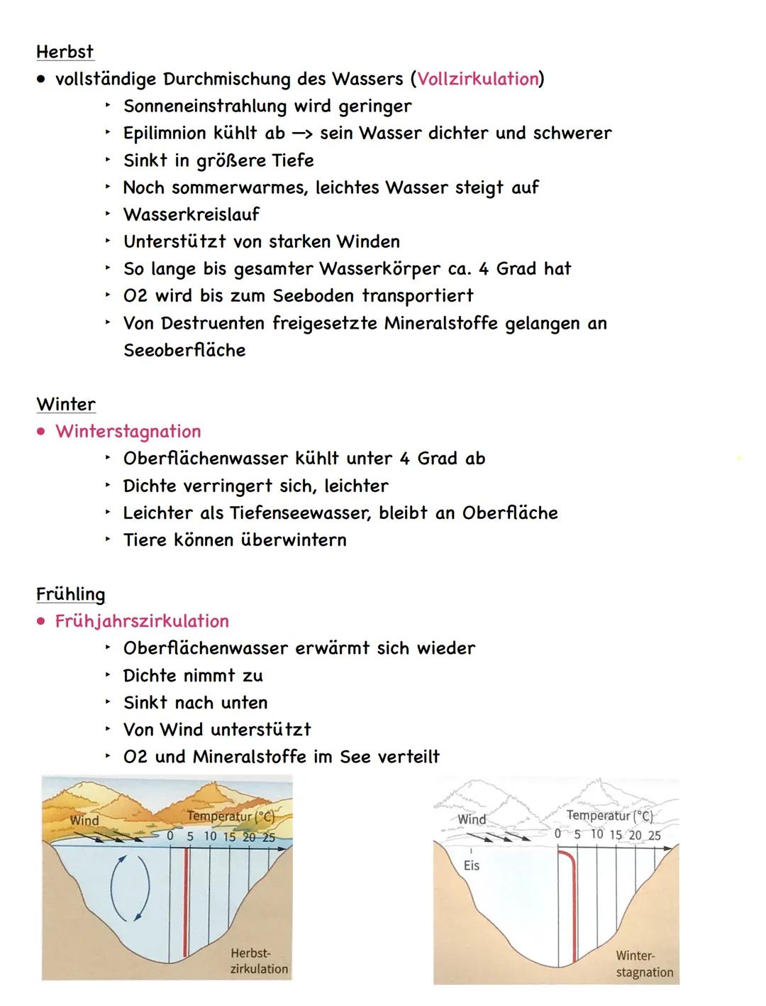 Zusammenfassung
Ökologie
Abiotische und biotische Faktoren
Biotische Faktoren
• gehen von Lebewesen aus
• Konkurrenten
• Parasiten
• Mensch
