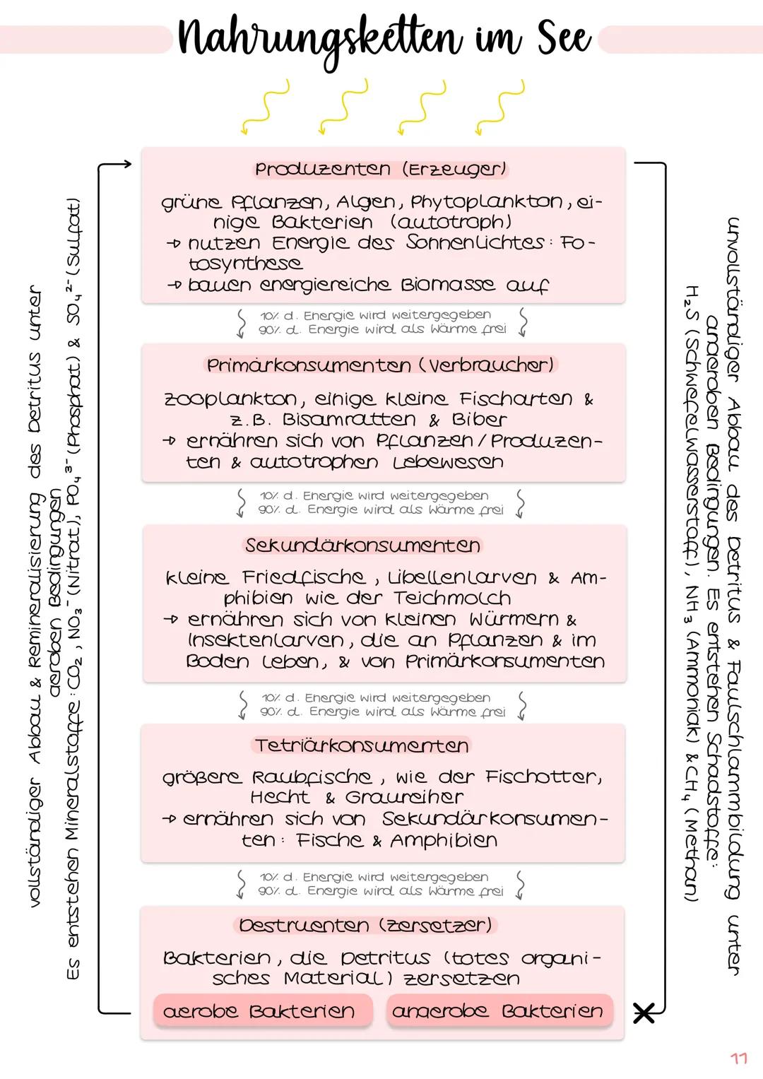 Zusammenfassung
Ökologie
Abiotische und biotische Faktoren
Biotische Faktoren
• gehen von Lebewesen aus
• Konkurrenten
• Parasiten
• Mensch
