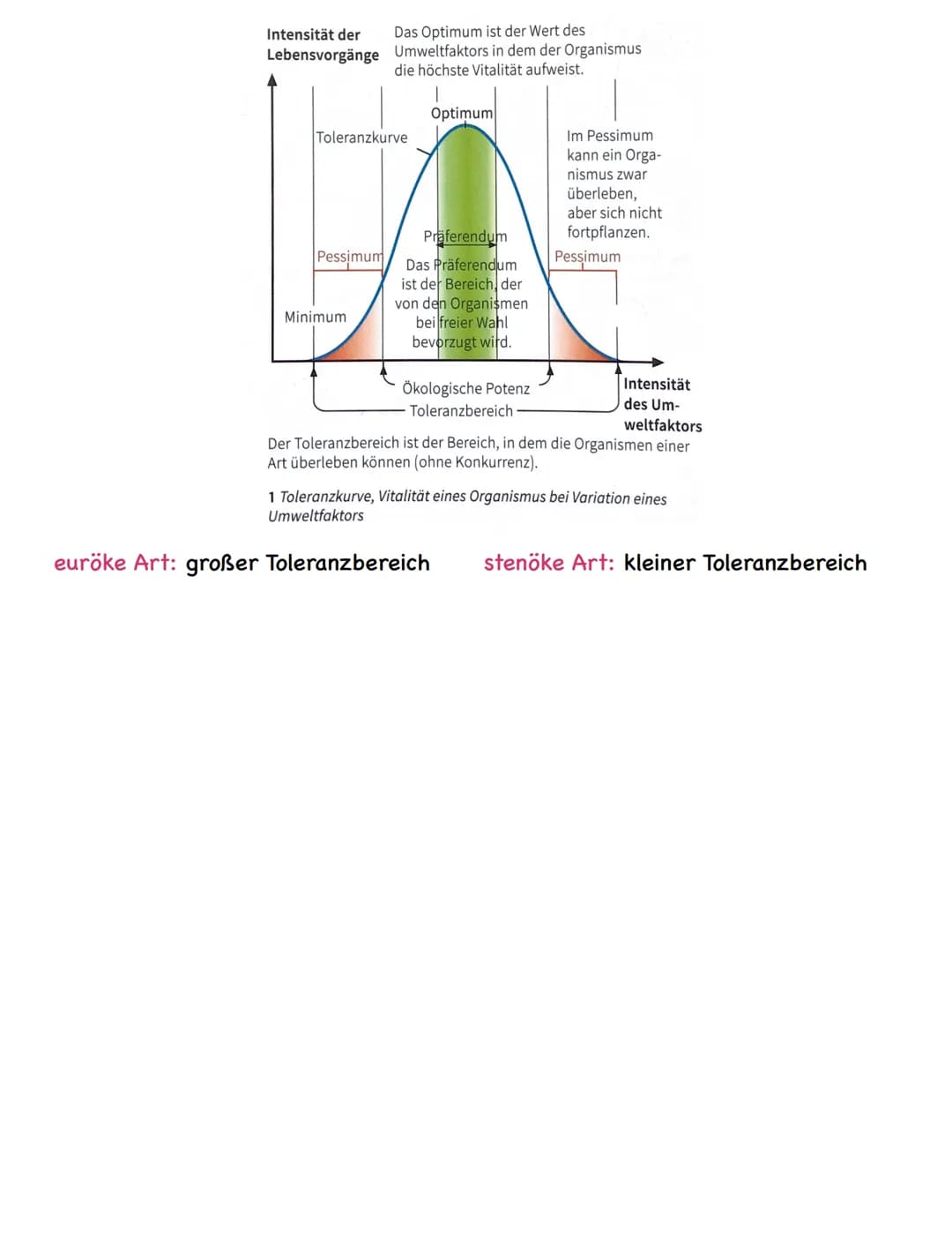 Zusammenfassung
Ökologie
Abiotische und biotische Faktoren
Biotische Faktoren
• gehen von Lebewesen aus
• Konkurrenten
• Parasiten
• Mensch
