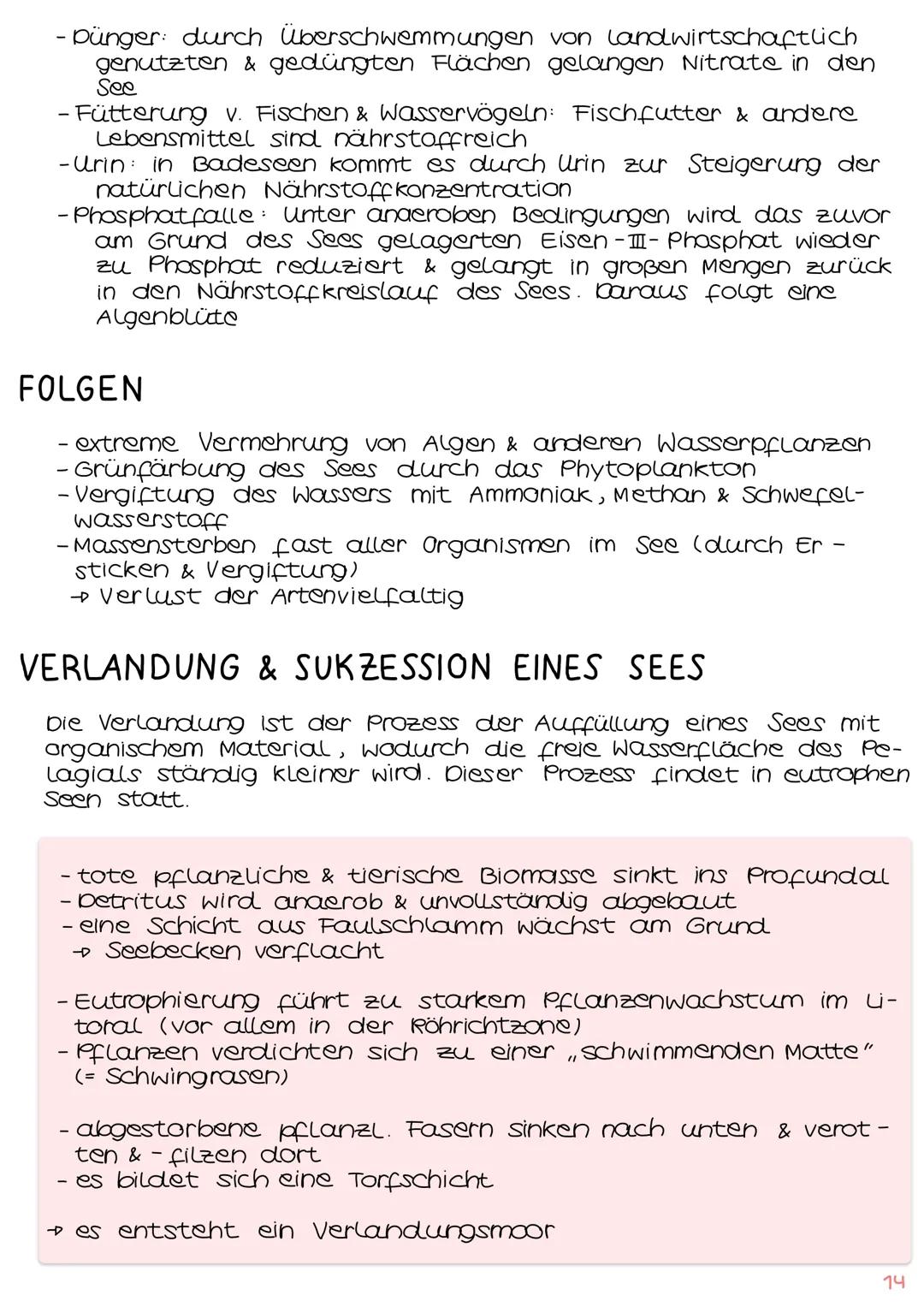 Zusammenfassung
Ökologie
Abiotische und biotische Faktoren
Biotische Faktoren
• gehen von Lebewesen aus
• Konkurrenten
• Parasiten
• Mensch
