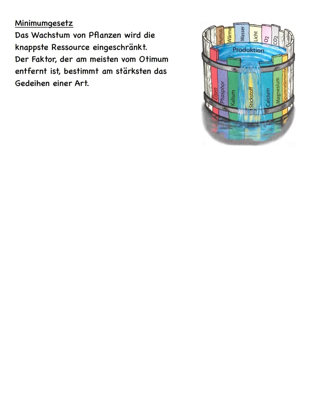 Zusammenfassung
Ökologie
Abiotische und biotische Faktoren
Biotische Faktoren
• gehen von Lebewesen aus
• Konkurrenten
• Parasiten
• Mensch
