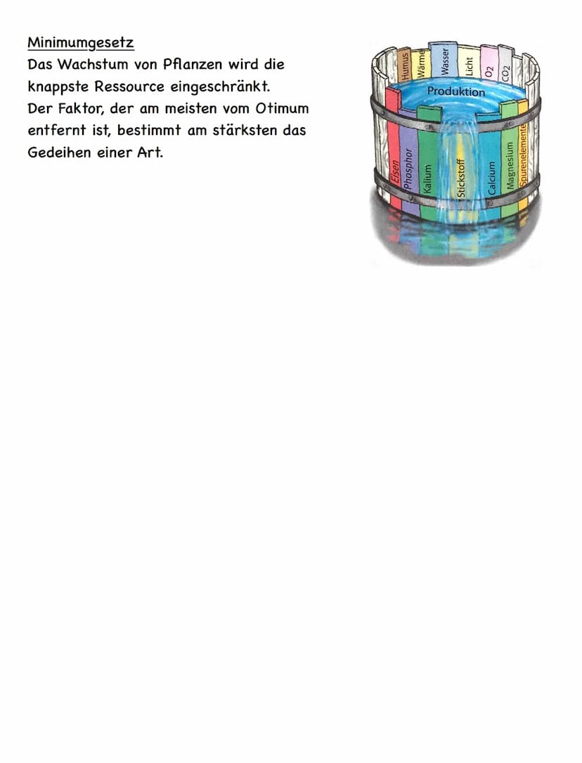 Zusammenfassung
Ökologie
Abiotische und biotische Faktoren
Biotische Faktoren
• gehen von Lebewesen aus
• Konkurrenten
• Parasiten
• Mensch
