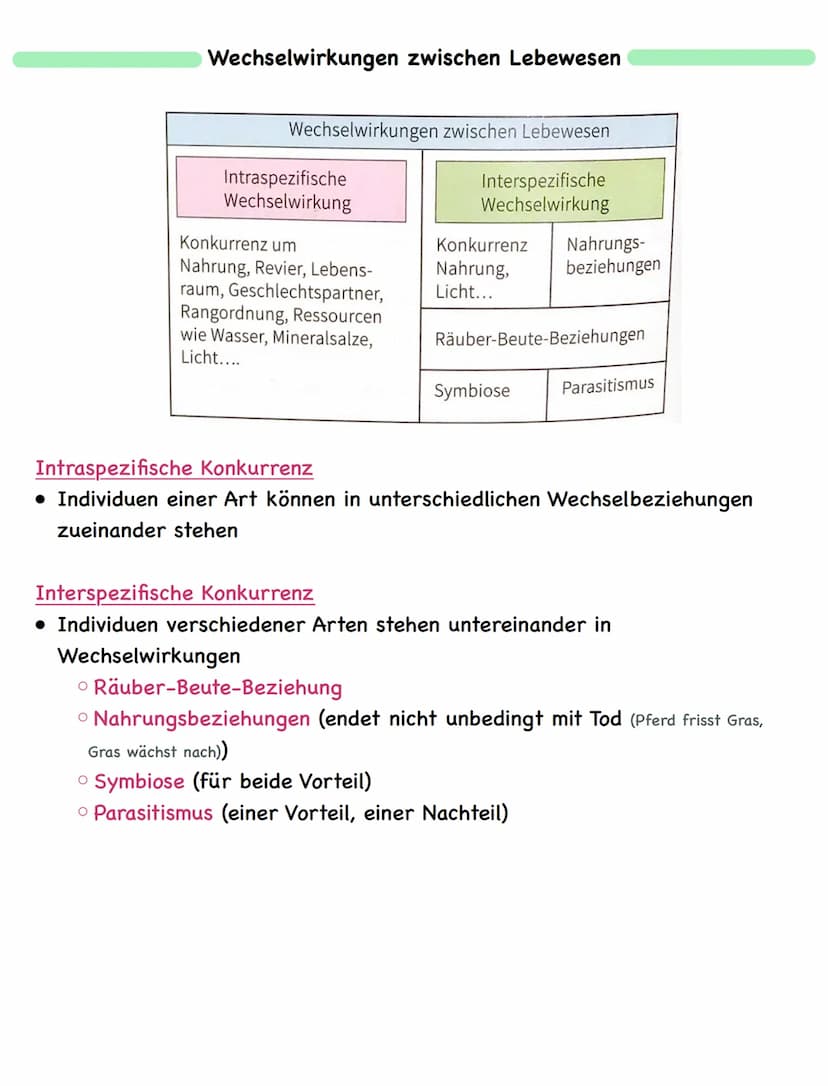 Zusammenfassung
Ökologie
Abiotische und biotische Faktoren
Biotische Faktoren
• gehen von Lebewesen aus
• Konkurrenten
• Parasiten
• Mensch
