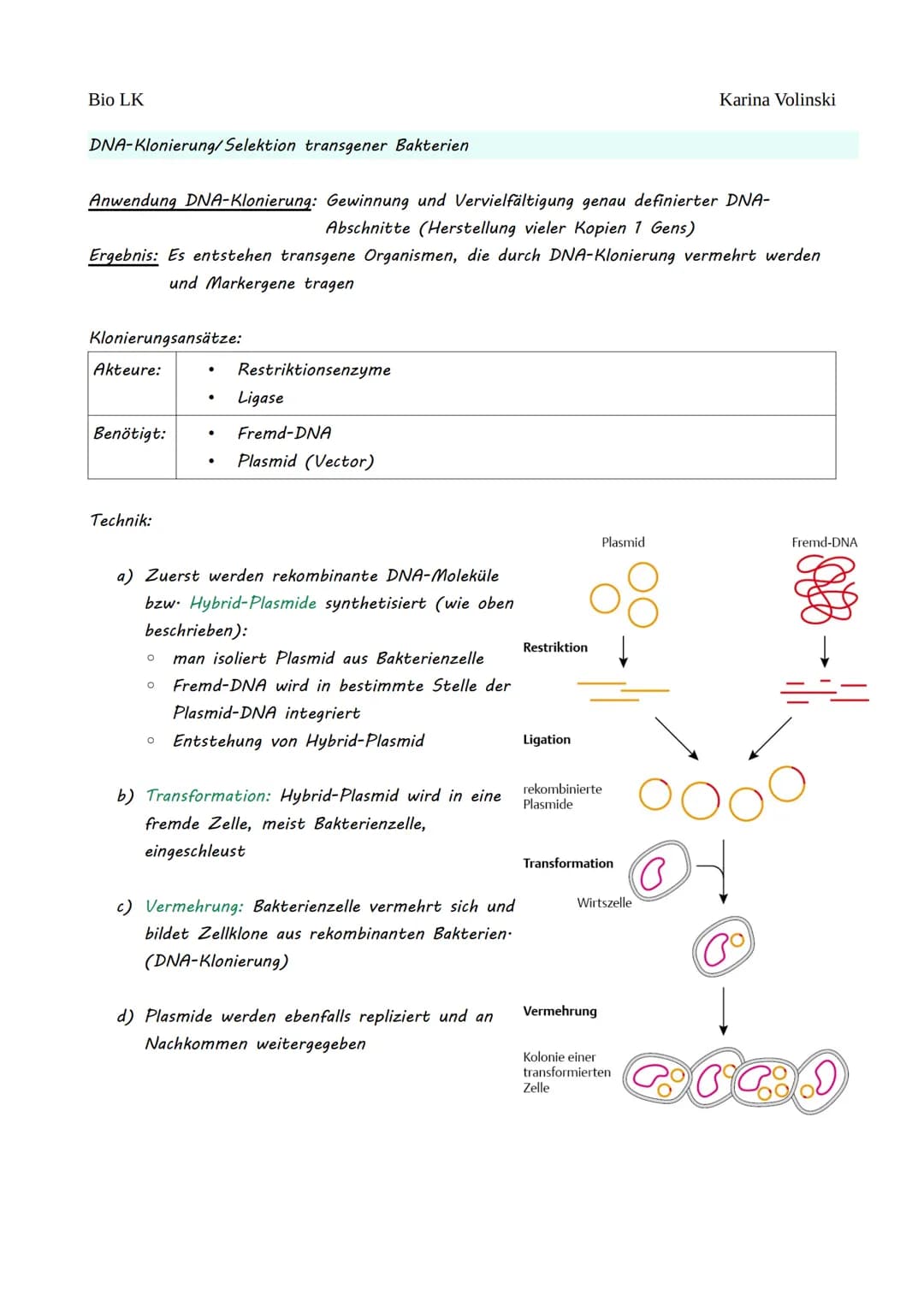 Bio LK
Gentechnik
Gentechnik
●
0 Restriktionsenzyme
●
O
DNA-Klonierung/Selektion von transgenen Bakterien *
O Polymerase-Kettenreaktion (PCR